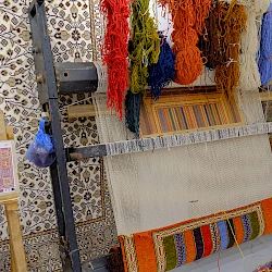 What are some factors to consider when choosing a carpet for pet owners?