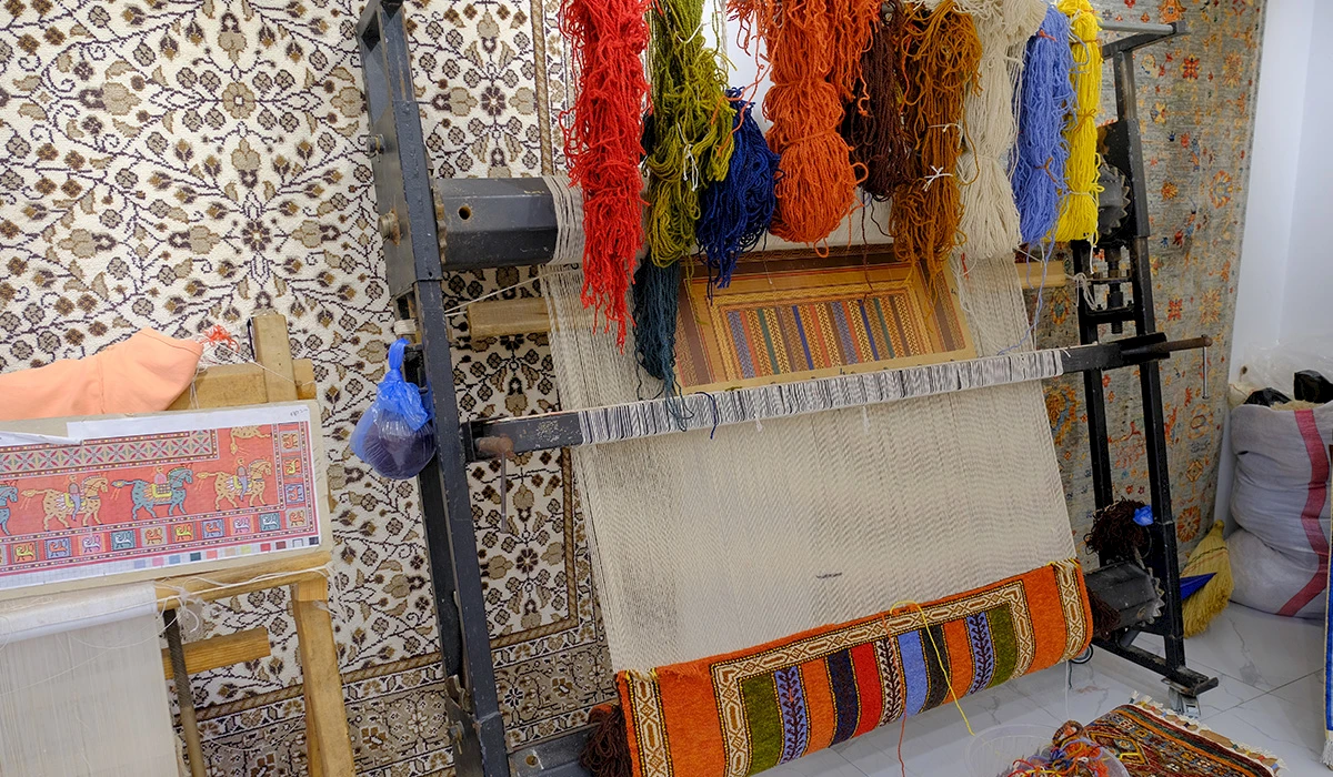 What are some factors to consider when choosing a carpet for pet owners?